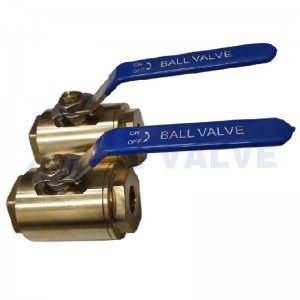 Forged Steel Floating Ball Valve SW / NPT / BW / NIPPLE Ends