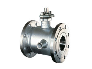 Jacketed Ball Valve